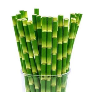 BAMBOO STRAW 25PCS
