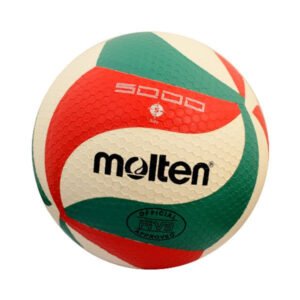 Molten Volley ball