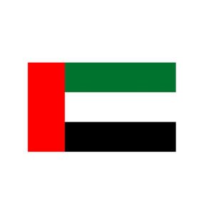 UAE FLAG MEDIUM