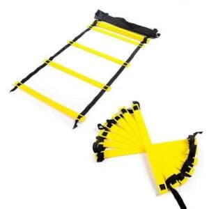 5M 10-SECTION AGILE LADDER