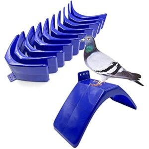 ASAFER PIGEONS 10PCS