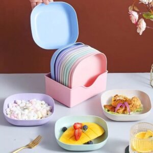 BABY PLASTIC DINNER PLATE WITH RACK 10PCS