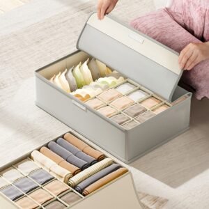 Multi-grid Packing Underwear Storage Box