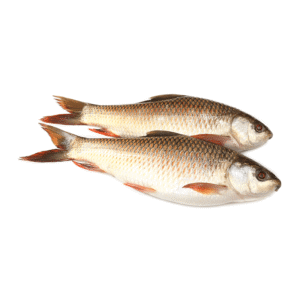 ROHU FISH 2UP KGS