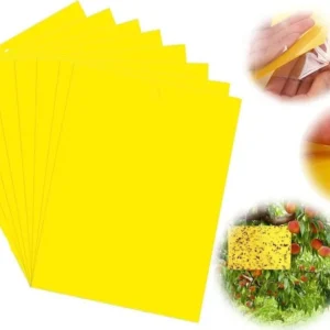 STICKY FLY TRAP STICKER YELLOW 50'S 10.01cm x 19.99cm